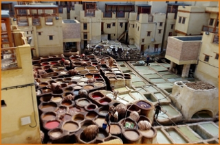 Private guided day trip in Fez