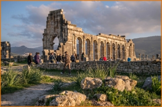 Day trip to Meknes and Volubilis