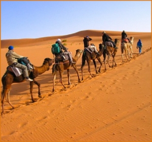 Private Tours Morocco, Sahara trips from Marrakech,Casablanca tours,Marrakech day trips