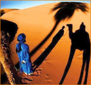 private 7 Days tour from Tangier,5,6,7 days Tangier tour to Merzouga and camel ride